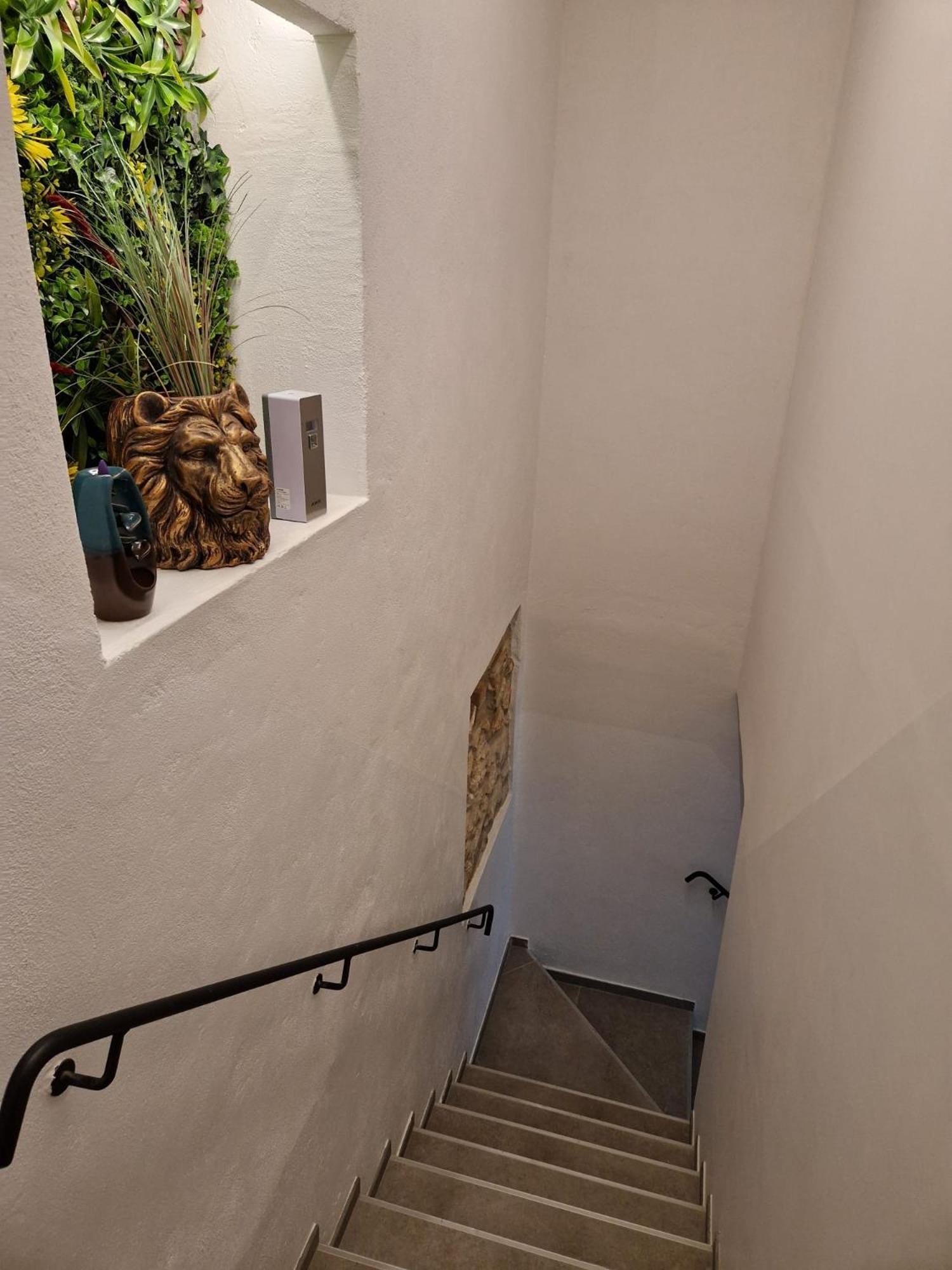 Casa de hóspedes Carpediem 2